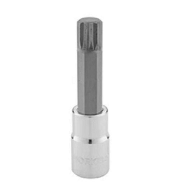Multidentada-Longa-1-2-X-12-Mm-Tipo-Soquete-M12-402516-Worker