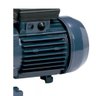 bomba d agua centrifuga 34 hp bivolt com protetor termico 2 2